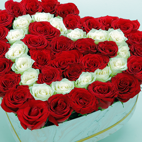 red & white rose box