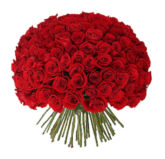Iris valentines 100 red rose flowers Bouquet
