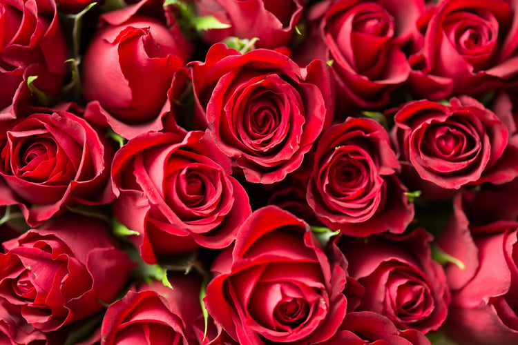 Red Love Flower arrangements