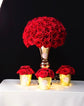 Luxury Red rose