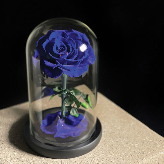 preserve single blue rose