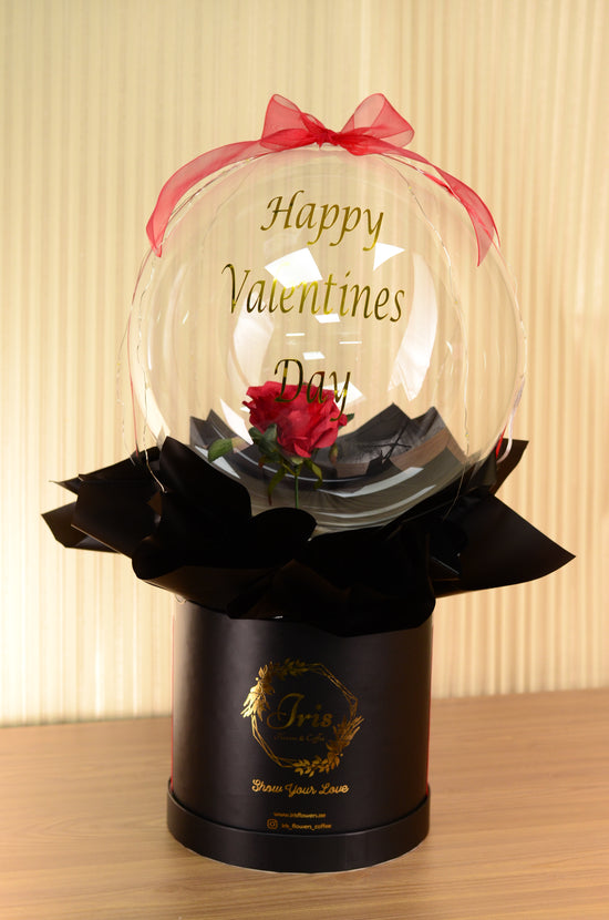 red rose in balloons box
