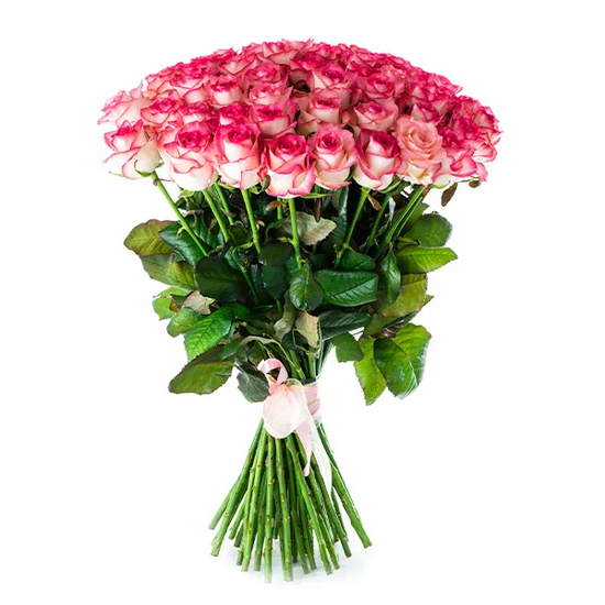 Double Colore pink rose flowers Bouquet