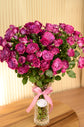 Fuchsia baby rose vase